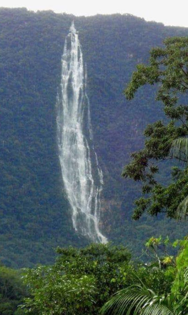 WhatsApp Image 2022-05-18 at 17.20.21 (1).jpeg